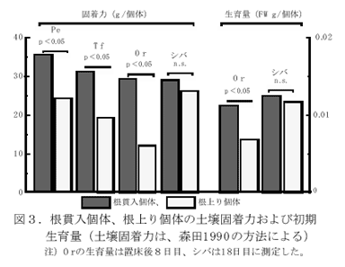 図3.根貫入個体、根上り個体の土壌固着力および初期生育量