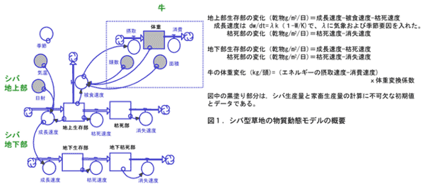 図1.シバ型草地の物質動態モデルの概要