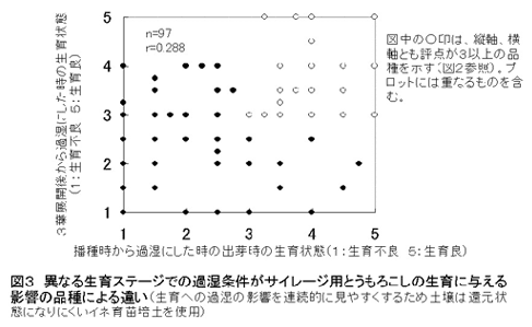 図3.異なる生育ステージでの過湿条件がサイレージ用とうもろこしの生育に与える影響の品種による違い