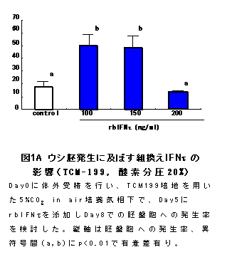 図1A ウシ胚発生に及ぼす組換えIFNτの影響