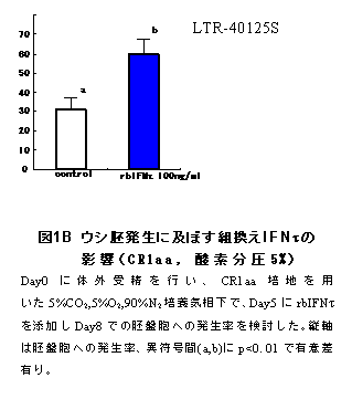 図1B ウシ胚発生に及ぼす組換えIFNτの影響