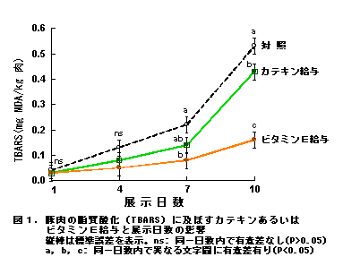 図1.豚肉の脂質酸化(TBARS)に及ぼすカテキンあるいはビタミンE給与と展示日数の影響