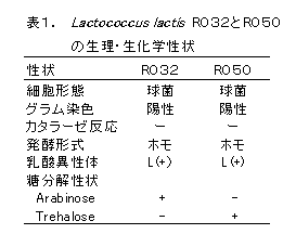 表1. Lactococcus lactis RO32とRO50の生理・生化学性状