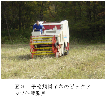 図3 予乾飼料イネのピックア ップ作業風景