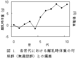 図 1. 各世代における離乳時体重の対 照群(無選抜群)との偏差