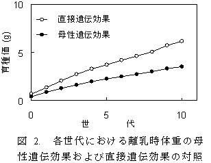 図 2. 各世代における離乳時体重の母 性遺伝効果および直接遺伝効果の対照 群からの偏差