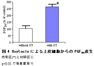 図4 Oxytocin による上皮細胞からのPGF2 産生