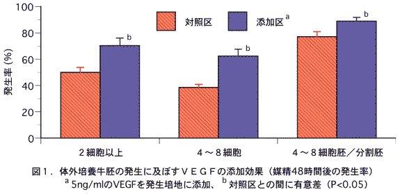 図1.体外培養牛胚の発生に及ぼすVEGFの添加効果