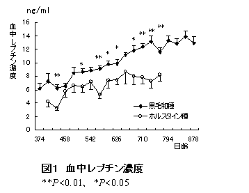 図1 血中レプチン濃度