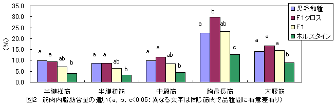 図2 筋肉内脂肪含量の違い