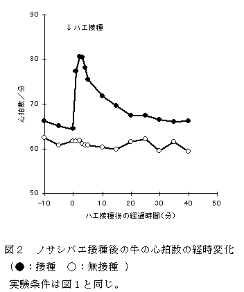 図2 ノサシバエ接種後の牛の心拍数の経時変化