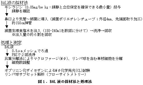 図1.BAL 液の採材法と処理法