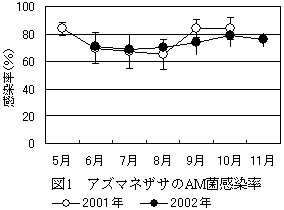 図1 アズマネザサのAM菌感染率