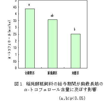 図1 稲発酵粗飼料の給与期間が胸最長筋のα-トコフェロール含量に及ぼす影響