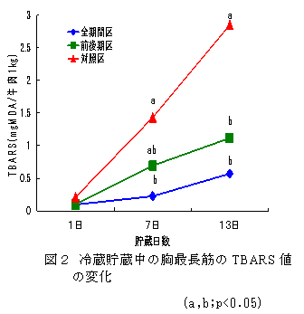 図2 冷蔵貯蔵中の胸最長筋のTBARS値の変化