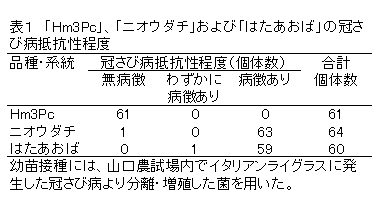 表1 「Hm3Pc」、「ニオウダチ」および「はたあおば」の冠さび病抵抗性程度