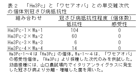 表2 「Hm3Pc」と「ワセアオバ」との単交雑次代の個体別冠さび病抵抗性