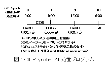 図1.CIDRsynch-TAI処置プログラム