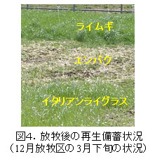 図4.放牧後の再生備蓄状況