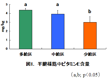 図1. 半腱様筋中ビタミンE含量