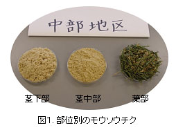 図1. 部位別のモウソウチク