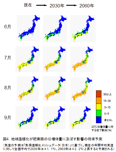 図4.地球温暖化が肥育豚の日増体量に及ぼす影響の将来予測