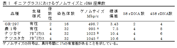 表1 ギニアグラスにおけるゲノムサイズとrDNA座乗数