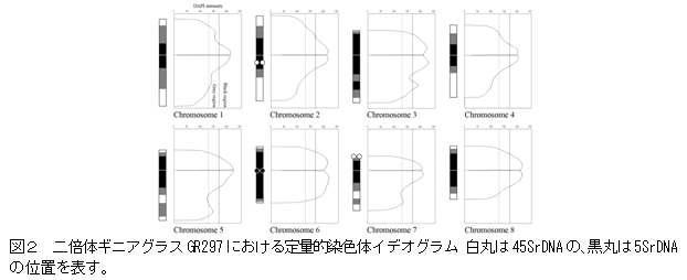 図2 二倍体ギニアグラスGR297における定量的染色体イデオグラム 