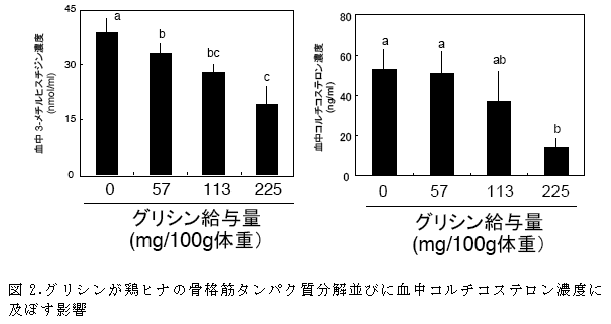 図2.グリシンが鶏ヒナの骨格筋タンパク質分解並びに血中コルチコステロン濃度に及ぼす影響