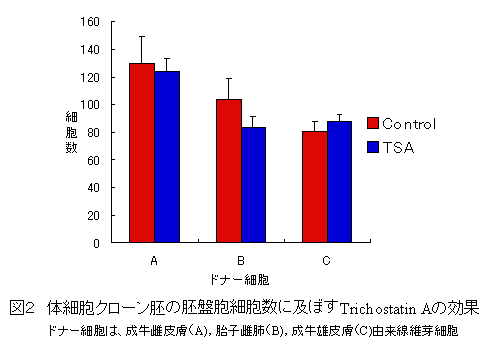 図2 体細胞クローン胚の胚盤胞細胞数に及ぼすTrichostatin Aの効果