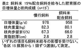 表2 飼料米15%配合飼料を給与した肥育豚の日増体量と枝肉成績 (n=15†)
