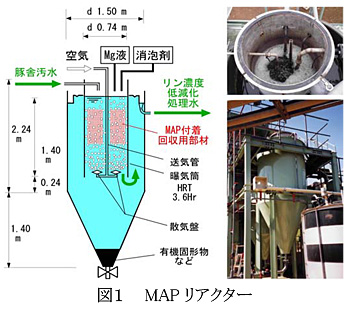 図1 MAPリアクター