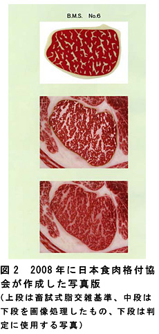 図2 2008年に日本食肉格付協会が作成した写真版(上段は畜試式脂交雑基準、中段は下段を画像処理したもの、下段は判定に使用する写真)