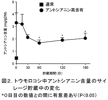 図2 トウモロコシ中アントシアニン含量のサイレージ貯蔵中の変化 *0日目の数値との間に有意差あり(P<0.05)