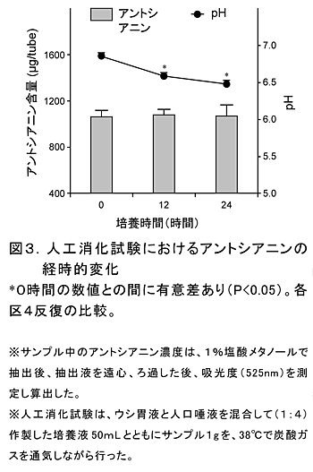 図3 人工消化試験におけるアントシアニンの経時的変化 *0時間の数値との間に有意差あり(P<0.05)。各区4反復の比較。