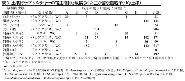 表2 土壌トラップカルチャーの宿主植物と観察された主な菌根菌胞子(/10g土壌)