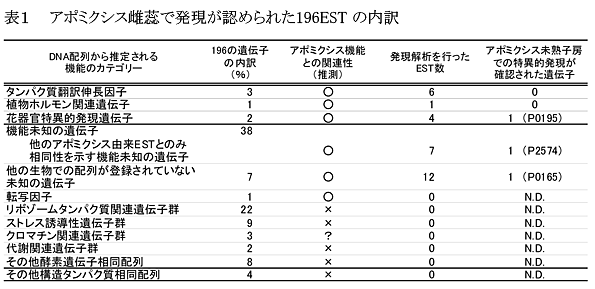 表1 アポミクシス雌蕊で発現が認められた196ESTの内訳