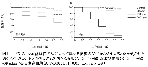 図1 パラフィルム経口投与法によって異なる濃度のN-フォルミルロリンを摂食させた場合のアカヒゲホソミドリカスミカメ孵化幼虫(A)(n=53-58)および成虫(B)(n=50-52)のKaplan-Meier生存曲線(A: P<0.01、B: P<0.01、Log-rank test)