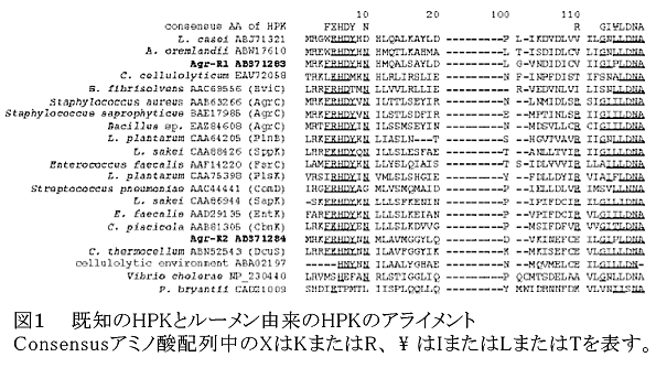 図1 既知のHPKとルーメン由来のHPKのアライメント Consensusアミノ酸配列中のXはKまたはR、\はIまたはLまたはTを表す。