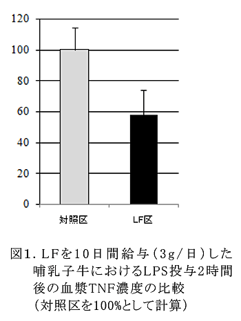 図1 LFを10日間給与(3g/日)した哺乳子牛におけるLPS投与2時間後の血漿TNF濃度の比較(対照区を100%として計算)