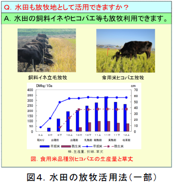 水田の放牧活用法