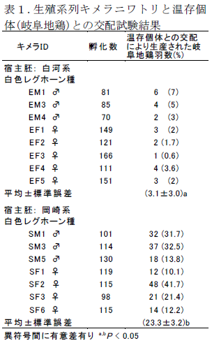 生殖系列キメラニワトリと温存個 体(岐阜地鶏)との交配試験結果