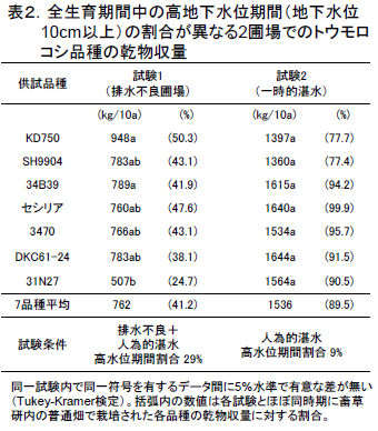 全生育期間中の高地下水位期間(地下水位 10cm以上)の割合が異なる2圃場でのトウモロ コシ品種の乾物収量