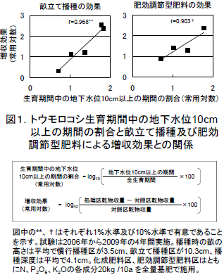 トウモロコシ生育期間中の地下水位10cm 以上の期間の割合と畝立て播種及び肥効 調節型肥料による増収効果との関係