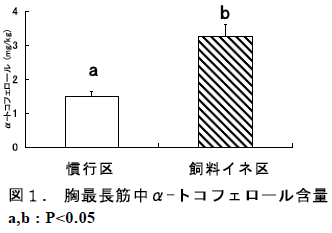 胸最長筋中α-トコフェロール含量