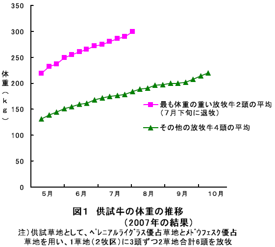 供試牛の体重の推移