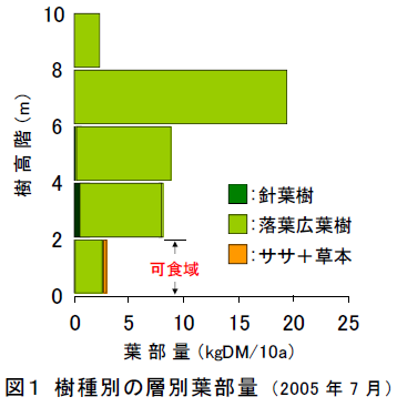 樹種別の層別葉部量