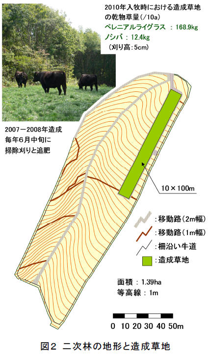 二次林の地形と造成草地