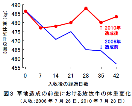 草地造成の前後における放牧牛の体重変化