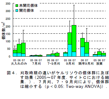 刈取時期の違いがケルリソウの個体群に及ぼ す効果
